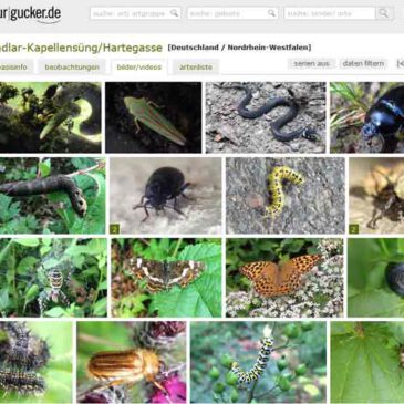 Naturbeobachter-Webseite Naturgucker.de