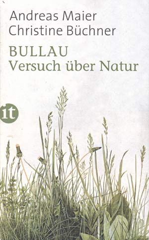 Taubenhaucher oder die Sache mit der Artenbestimmung – Anregung durch das Buch: „Bullau. Versuch über Natur“ (Maier/Büchner)
