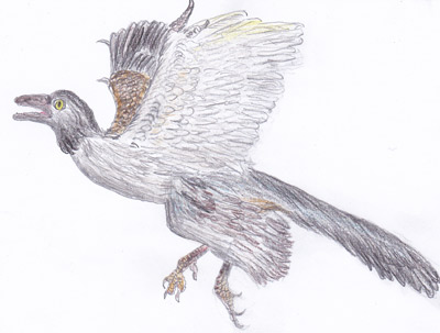 Onlinekurs: „Paleontology: Theropod Dinosaurs and the Origin of Birds“ („Theropoda und der Ursprung der Vögel“)