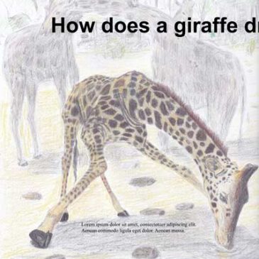 Zeichnung: How does a giraffe drink water?