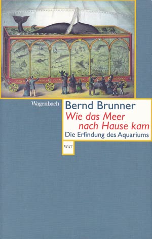 Buch: „Wie das Meer nach Hause kam“ (B. Brunner)