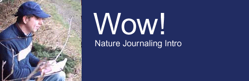 Wow – Nature Journaling, eine Entdeckung