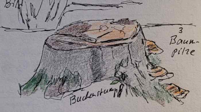 HerbstRunde #2