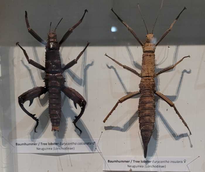 Göttingen 2025 – Forum Wissen